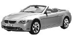 BMW E64 B110F Fault Code